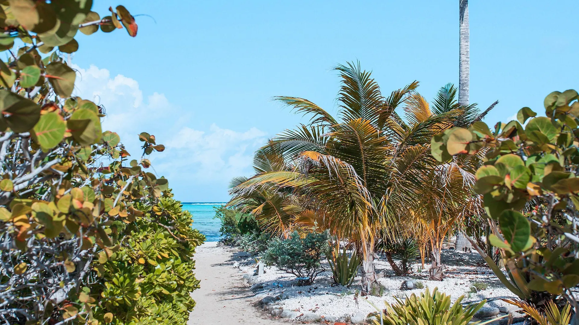 Sorobon Luxury Beach Resort Kralendijk na wyspie Bonaire